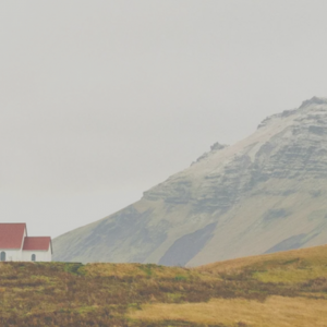 ,,Weź mnie za rękę i pobiegnijmy razem” – biuletyn SPCH ,,Weź mnie za rękę i pobiegnijmy razem” – biuletyn SPCH